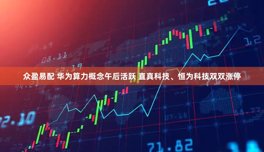 众盈易配 华为算力概念午后活跃 直真科技、恒为科技双双涨停