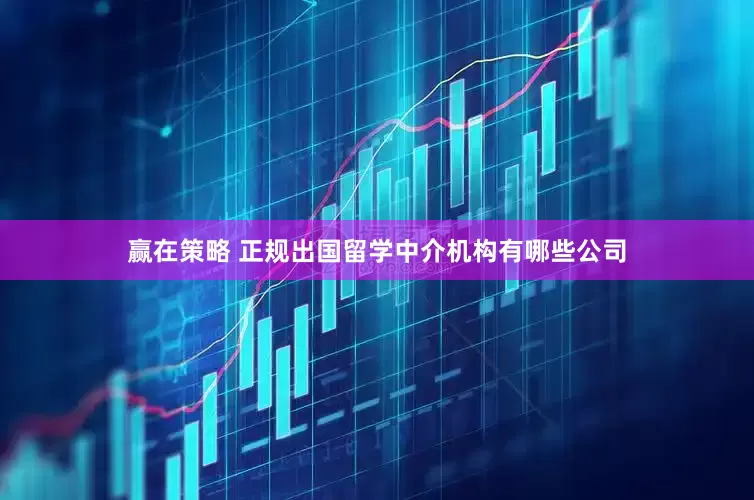 赢在策略 正规出国留学中介机构有哪些公司